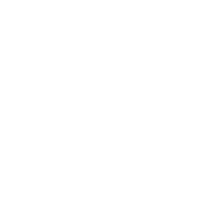 Atrio Nervi
